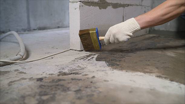 24/7 Emergency Exterior Waterproofing experts in Citronelle, AL